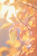 Aufkleber - Abstract fall landscape background with lots of bokeh and vignette borders with a bright center spotlight. Stock.