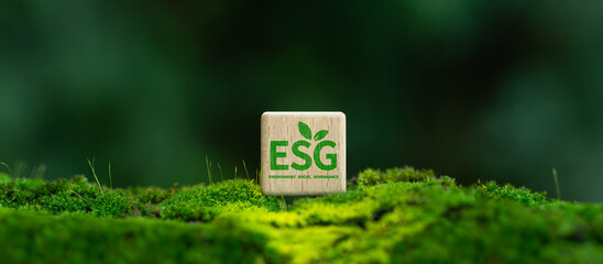 ESG icon on wooden block. Environmental, social and governance concept. Net zero greenhouse gas emissions for greenhouse gas emission target. Sustainable global environment concept.