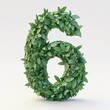© Avve Diana  - An appealing 3D number 6 with parsley texture, realistic modern design, subtle lighting, and white background.