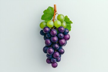 Leinwandbilder - A minimalist illustration of a single grape cluster, with simple, clean lines and soft purple and green hues
