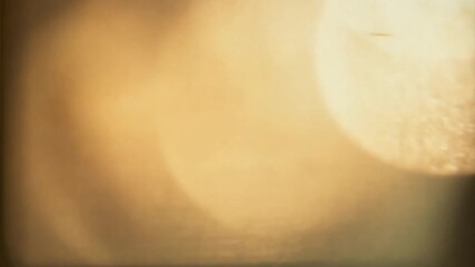 Canvas Print - golden hour lens flare