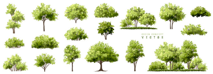 Wall Mural - vector watercolor green tree or forest side view isolated on white background for landscape and arch