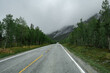 © Alicia - Empty road in a moody norway mountain landscape