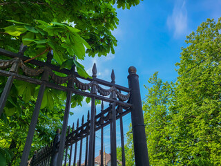 A fence with sharp tips on a background of green chestnut leaves and blue sky