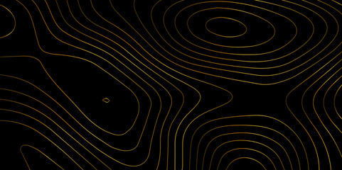 Wall Mural - abstract light pattern vector illustration. topographic map background concept. vibrant neon lights 