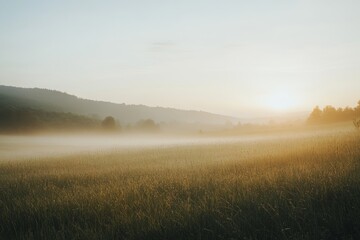 Wall Mural - Serene sunrise over misty countryside landscape with ample copy space for text or graphics