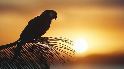 Canvas Print -   Black bird perched on palm tree by water, sun backdrop