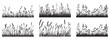 © MicroOne - Meadow grass and little flowers silhouette horizontal borders set. Nature botanical plant design element. Grassy uncultivated wild field. Black and white simple flat style. Isolated vector on white