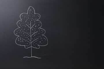 Wall Mural - Beautiful drawing of tree on black chalkboard. Space for text