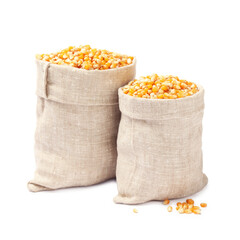 Wall Mural - Fresh corn kernels in burlap sacks isolated on white