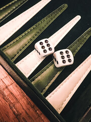 Dice boardgame backgammon play Green and White