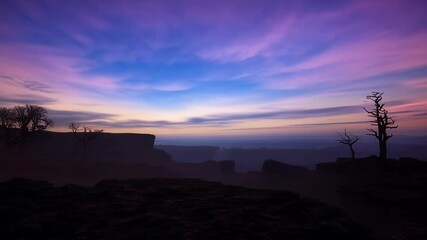 Wall Mural - Vibrant colors transform the sky above a rocky canyon, while bare trees and swirling fog create a mystical atmosphere, enhancing the surreal beauty of the landscape