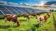 © udomsak - Cows grazing near a solar farm built on a former waste dump, cows, solar farm, waste dump, environment
