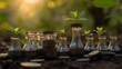 © ADDIB - Growth of Investment with Coins and Plants