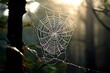 © Best top images - cobweb and the search for meaning use a cobweb to inspire contem
