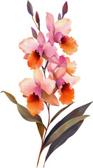 Wall Mural - Pink and orange orchids