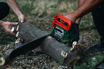 man cuts a chainsaw in the forest. man cuts a chainsaw.