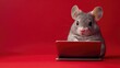 © BloomArt - A cute grey hamster sits in front of a laptop computer on a red background.