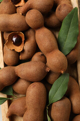 Tamarind fruit, concept of delicious food, fresh tamarind