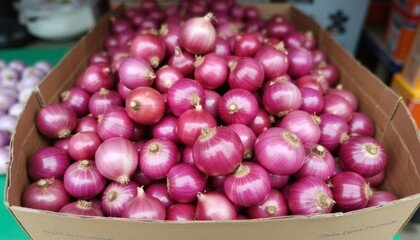 Poster -  Bulk purchase of fresh purple onions