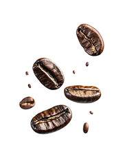 Sticker - Falling coffee beans isolated on png background