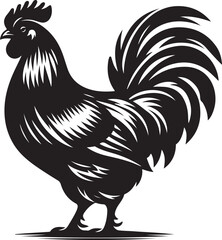 Vector Chicken Outline - Realistic Line Art on White.