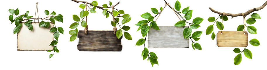 Set of wooden signboards hanging with green leaves, cut out