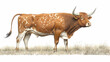 © Mohan - A brown and white Texas Longhorn bull stands in a field of dry grass with his horns curved back and his tail swishing.