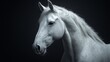 © ART IS AN EXPLOSION. - A white horse with a black background