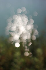 Wall Mural - an abstract view of the bright sunlight shimmering in the surface of the water.