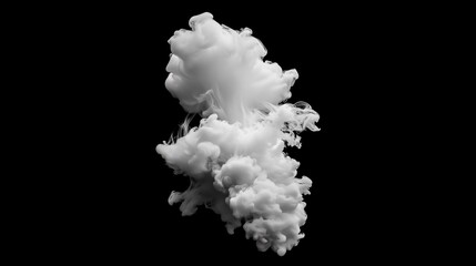 Wall Mural - ink white smoke on black background