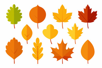 Poster - A collection of stylized autumn leaves showcases a variety of shapes and warm colors like red, orange, and yellow