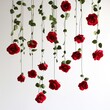© kharom - hanging red roses