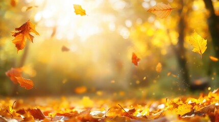 Poster - Vibrant autumn scenery featuring golden leaves and sunlight Colorful foliage creates a serene natural backdrop with falling leaves