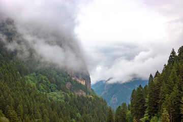 Wall Mural - sumela monastery and altindere vallet national park view in a foggy day