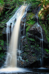 Wall Mural - portrait of hindhope linn, a waterfall located at the northern end of the kielder forest drive in no