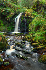Wall Mural - hindhope linn in portrait, a waterfall located at the northern end of the kielder forest drive in no