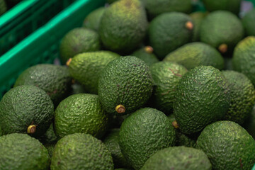 Fresh green avocados placed together in a green basket.  Avocados Harvest Season. Concept of healthy diet food.