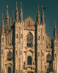 Wall Mural - Stunning view of Milan Cathedral's intricate Gothic architecture with a bird flying in the sky