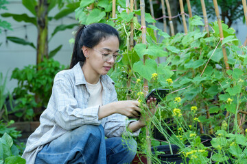 Asian woman kneeling in organic garden, observing plants while holding tablet. Surrounded by fresh green foliage, sustainable gardening, eco-conscious practices, and balance with technology.