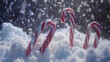 © Cedric - christmas candy canes