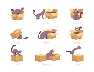 Wall Mural - Cartoon English Prepositions Cute Cat Interacting with Boxes In Different Positions Set Educational Concept Flat Design Style. Vector illustration