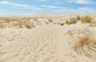 The towering Kelso Dunes at California's Mojave National Preserve