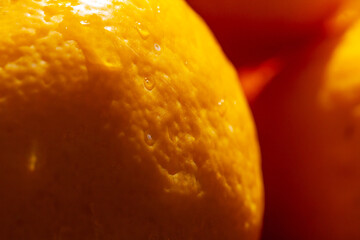 Close-up of Fresh Orange with Water Droplets