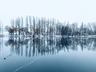 winter landscape