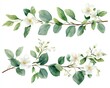© Nattapat - Delicate eucalyptus and jasmine floral arrangement, watercolor style, green branches and white blossoms, ideal for wedding and stationery design, on white