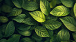 © naina  - natural leaves background.ai generative