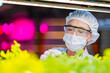 © ultramansk - A scientist in a mask, goggles, and hairnet closely examines green plants in a lab setting. The focus on leafy vegetation highlights research in agriculture, botany, and sustainable plant growth.