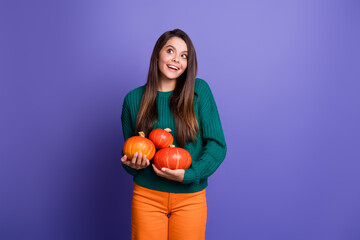 Photo of pretty young girl pumpkins look empty space wear pullover isolated on purple color background