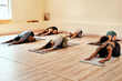 © peopleimages.com - Group, stretching and yoga class for fitness, exercise and healthy active with mindfulness in morning. People, zen and pilates for chakra, balance and health with child pose, calm or spiritual growth